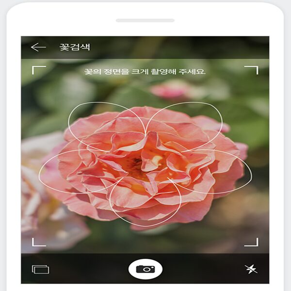 다음 꽃검색 어플